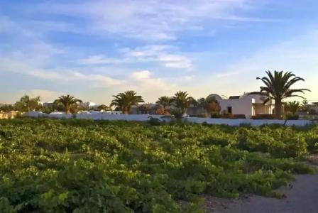 Alafouzos Studios - 14