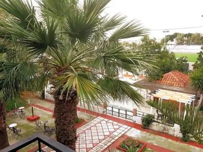 Miranta - Apartments & Studios - 54