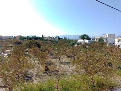 Miranta - Apartments & Studios - 35