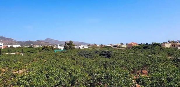 Miranta - Apartments & Studios - 39