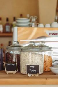 Ampelia Kassandra - 10