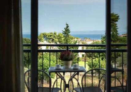 Ampelia Kassandra - 6