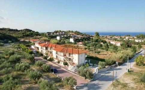 Ampelia Kassandra - 15