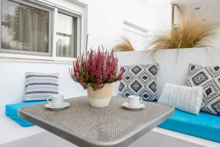 Ampelia Kassandra - 26