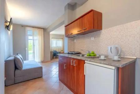 Ampelia Kassandra - 17