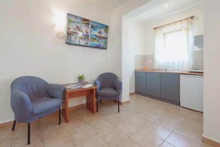 Ampelia Kassandra - 28