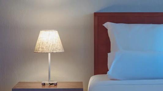 Ampelia Kassandra - 24