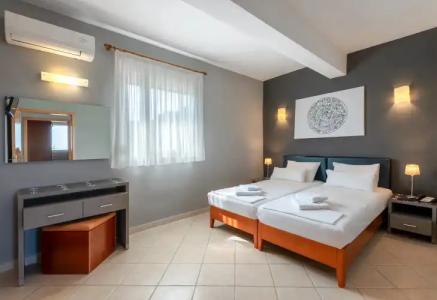 Ampelia Kassandra - 3