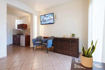 Ampelia Kassandra - 40