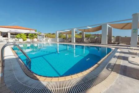 Ampelia Kassandra - 14