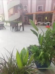 Mendos Garden Exclusive Fethiye - 20