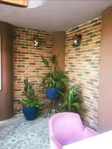 Mendos Garden Exclusive Fethiye - 9