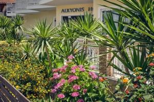 Alkyonis Hotel, Laganas