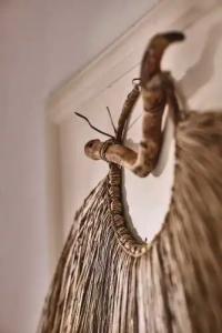 Capetan Giorgantas - 54