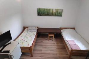 Skruzdėlynas, Nida