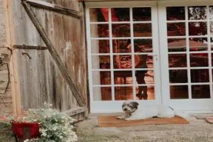 Tõnise Majatalo, Liiva