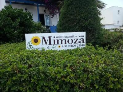 Mimoza - 0