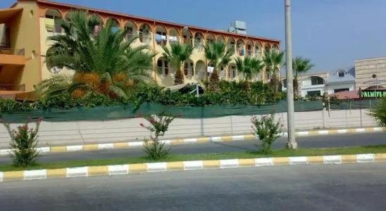 Palmiye Side - 12