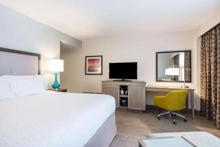 Hampton Inn & Suites by Hilton Miami Wynwood Design District - 6