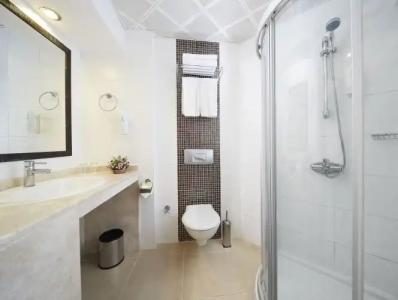 Grand Ideal Premium - 7