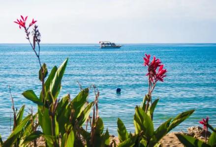 Side Kleopatra Beach - 11