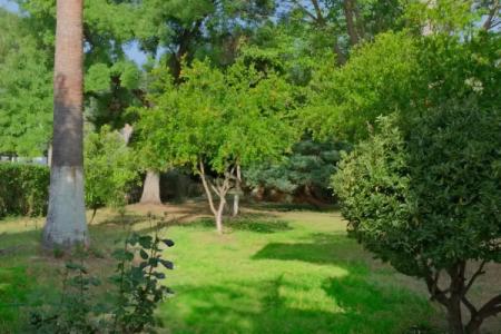 Club Mel Holiday - 85