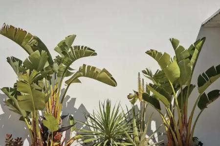 Stelia Mare Boutique - 48