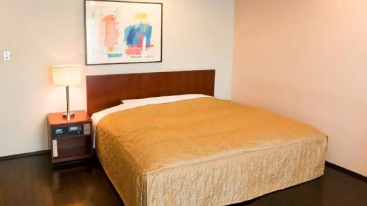 The Residential Suites Fukuoka - 51