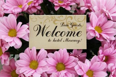 Mercury-Premium All Inclusive - 100