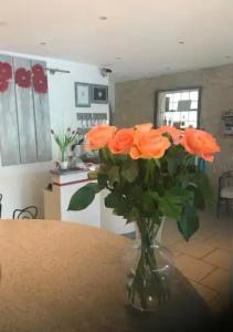 Le Mediterranée - 13