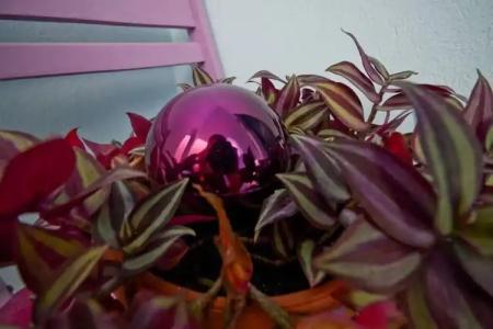 Galazia Studios - 40