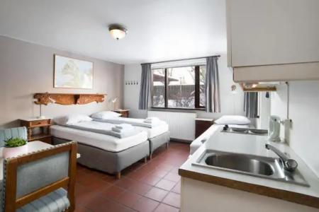 Eric the Red Guesthouse - 31