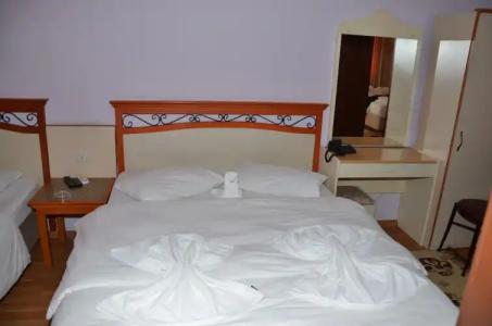 Ozturk - 6