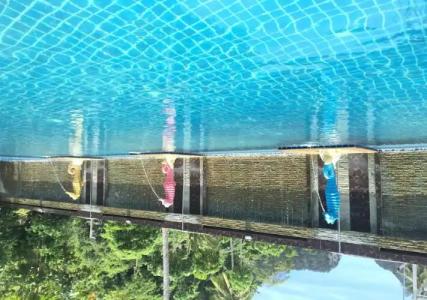 Phi Phi Maiyada Resort- SHA Certified - 11