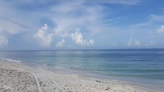 Casey Key Resort - Gulf Shores - 48