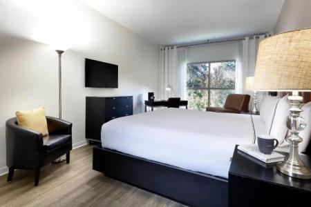 Meliá Orlando - 102