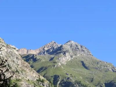 - Steakhouse Cheminée - 32