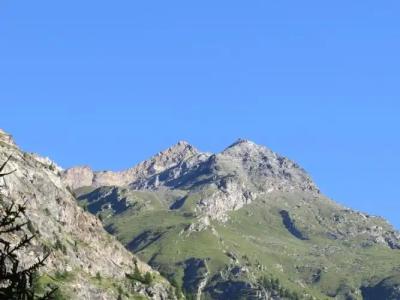 - Steakhouse Cheminée - 16