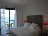 Standard Double room with balcony and with sea view