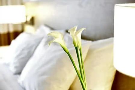 Pestana South Beach - 88