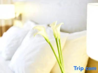 Pestana South Beach - 74