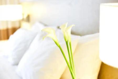 Pestana South Beach - 60