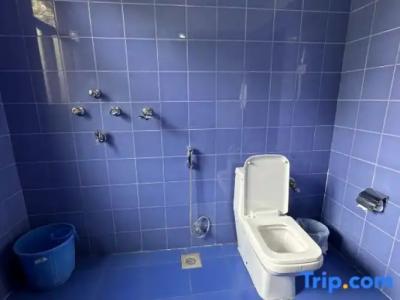 Lumbini Buddha Garden Resort - 28