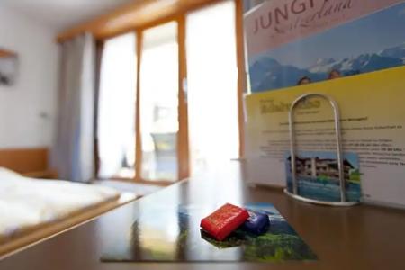 Edelweiss Wengen - 29