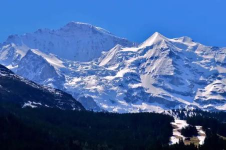 Edelweiss Wengen - 20