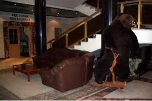 Ermak Mini-hotel, Surgut