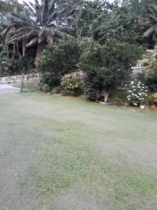 Loversnest Self Catering - 8