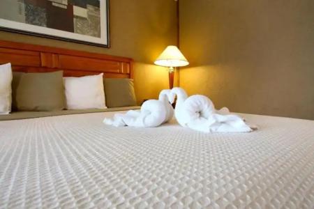 The Crusader Oceanfront Family Resort - 20