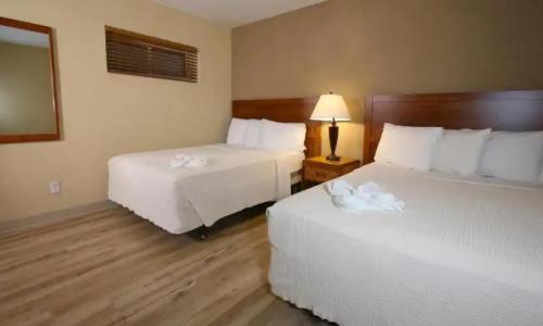 The Crusader Oceanfront Family Resort - 108