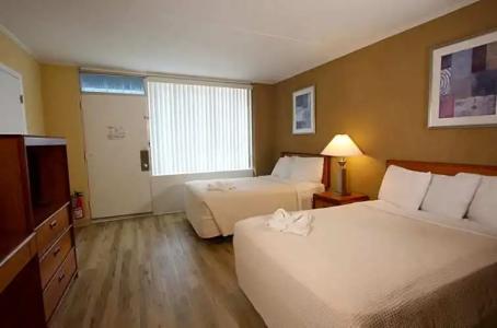 The Crusader Oceanfront Family Resort - 35